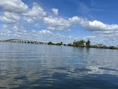 Dolphin & Manatee Sightseeing Cruise in Melbourne/Cocoa Beach