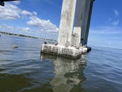 Dolphin & Manatee Sightseeing Cruise in Melbourne/Cocoa Beach