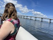 Dolphin & Manatee Sightseeing Cruise in Melbourne/Cocoa Beach