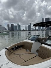 2024 Searay spx19 Sport Boat