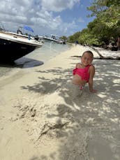 2024 Searay spx19 Sport Boat
