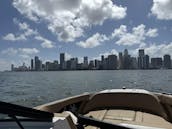 2024 Searay spx19 Sport Boat
