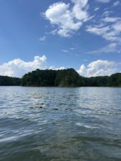 ALL INCLUSIVE Avalon Pontoon PADDLE BOARD - TUBE - FUEL - CAPTAIN - FUN BOAT