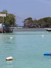 Alquiler de pontones en La Parguera con un capitán certificado por la USCG