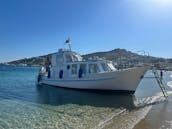 Cruzeiro privado para a costa sul de Mykonos, ilha de Rhenia ou cavernas de Tragonisi