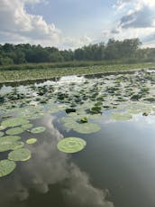 🚤 Experimente o melhor do verão no Lago Geist com nosso aluguel de pontão de luxo! 