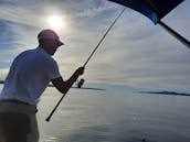 Fishing Charter in Zadar Channel on Araussa 740 Motor Yacht