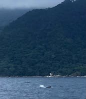Versatile Custom 36 Marietas Islands, Cruising or Fishing Experience