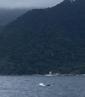 Expérience de croisière ou de pêche polyvalente sur 36 îles Marietas