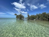 Choose your own adventure exploring the last frontier of Florida, the Lower Florida Keys! Amazing Float Plans and secluded sandbars!