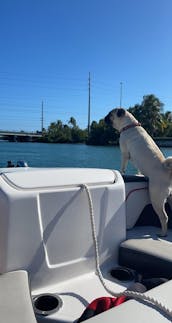 Salty SandBars Key West SeaRay 250 