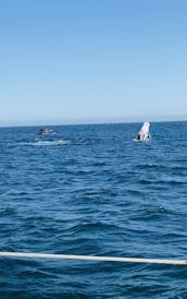 Alquiler de catamarán 43' Balize en Cabo San Lucas Baja, California Sur