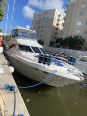 Cruzeiro em Miami em um lindo iate a motor Sea Ray Sedan Bridge de 50 pés