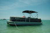 Bentley Pontoon Rental in Holmes Beach, Florida