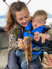 22' Cuddy Cabin Rental In Seward, Alaska