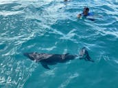 Unforgettable Boat Adventure in Caicos Islands on Hurricane Sun Deck Boat!