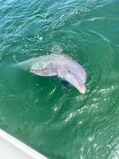 Private Sunset, Dolphin Tours, and Fishing Trips in Panama City Beach