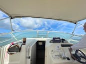 Sea ray Amberjack 290 in clearwater to Hernando beach boat ramp