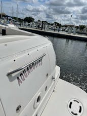 Sea ray Amberjack 290 in clearwater to Hernando beach boat ramp