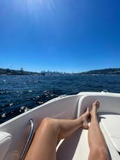 2020 Sea Ray SXP 210 Yacht in Bellevue for Rent on Lake Washington