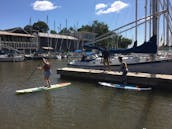 Alquiler de tablas de remo y clases de surf en Oakville