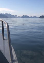 Go Fishing on 22' Hewescraft Pro V 200 Fishing Boat in Seward, Alaska