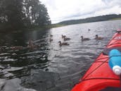 Guided kayak tour In Trakai