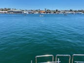 NEWPORT BEACH BOAT PARADE SPECIAL