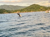 Sailing Tours and Sightseeing in playa Potrero Guanacaste Province, Costa Rica