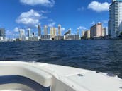Excursion to Haulover Sandbar w/Captain - BOAT TOURS BY JUSTIN - FREE PARKING!