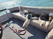 12 Passenger Suntracker Party Barge 24 DLX Pontoon in South Padre Island