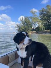 SeaFox Center Console in Sarasota/Bradenton area