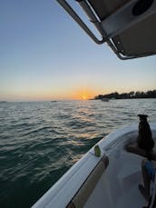 SeaFox Center Console in Sarasota/Bradenton area