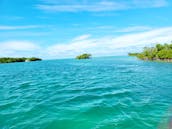 Alquiler de 4 horas en Sandbar en Key West con el Capitán Zak