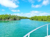 4 Hour Sandbar Charter in Key West with Captain Zak