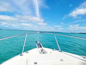 Alquiler de 4 horas en Sandbar en Key West con el Capitán Zak