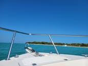 4 Hour Sandbar Charter in Key West with Captain Zak