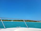 4 Hour Sandbar Charter in Key West with Captain Zak