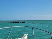 Alquiler de 4 horas en Sandbar en Key West con el Capitán Zak