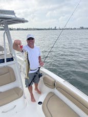 Nauticstar 231 Hybrid Center Console Boat Rental in Bradenton or Sarasota