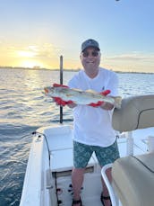 Alquiler de barco Nauticstar 231 Hybrid con consola central en Bradenton o Sarasota