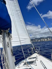 Naviguez en privé au coucher du soleil sur un yacht de luxe et observez des baleines, des dauphins et des tortues !        