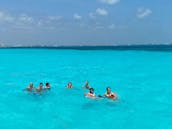 Un incroyable yacht de Formule 43 pieds pour découvrir Isla Mujeres et la mangrove