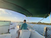 17' Boston Whaler Bowrider for 4 People in New Smyrna