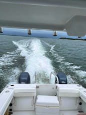 Power Catamaran Tours w/on-board facility - Fernandina Beach, Amelia and Cumberland Islands
