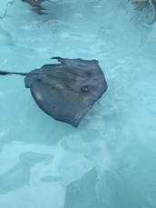 Snorkeling in West Bay, Grand Cayman