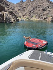 Fourwinns SL222 Bowrider for rent in Lake Havasu City