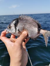 Alquiler de RIB Sport Fisherman para hasta 8 personas en Peniche, Portugal