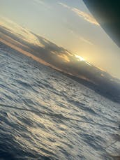 Private Sunset Sail on Luxury Yacht, see whales, dolphins, and turtles!        