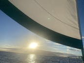 Navegue privado al atardecer en un yate de lujo, ¡vea ballenas, delfines y tortugas!        